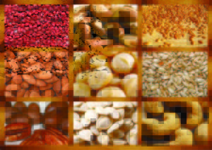 Oleaginosas substituindo a carne